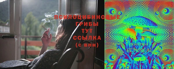 стаф Армянск
