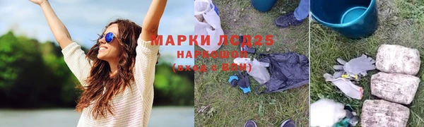 круглые Аркадак